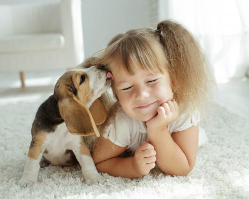 thumbnail of 5 Adjustments to Parenting with Pets