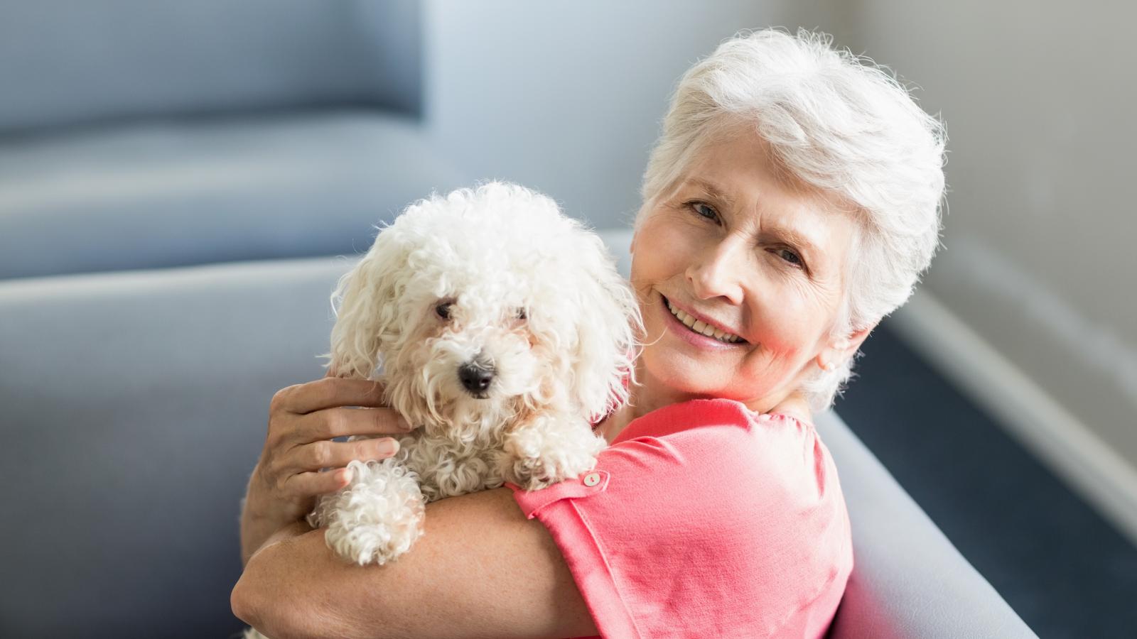 banner of Several Breeds of Dog Fit the Lifestyle of Seniors Perfectly (scoff)