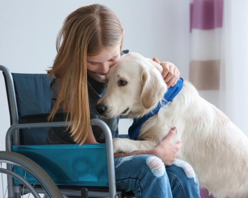thumbnail of Service Dogs Perform an Important Service to People and Society